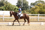 SBM_006537