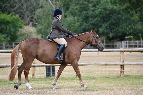 Class 9 Tack & Turnout