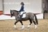 BPP_8204