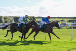 300926-Race 3-Fairydale-6171