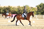SBM_016974
