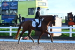 208-Charlotte.Dicker-Catherston.Zahara portfolio