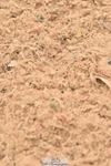 230720A-122102-02527