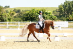 SBM_009803
