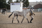 SBM_23432