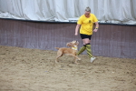 SBM_004608