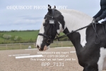 BPP_7131