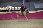 SBM_09337