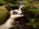Wyming Brook