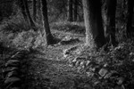 Winding Path 01