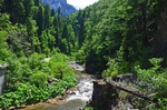 Western Rhodopes Mountains, Smolyan Province, Bulgaria