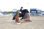 SBM_13391