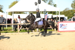 SBM_14955