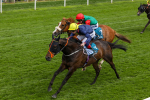 160524-Race 2-Point Lynas-1809