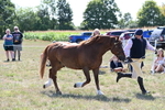 WJ6_4847