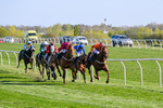 Race 7 portfolio