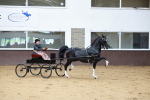 SBM_001020