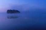 Foggy morning at Finnamore Leke, County Offaly, Ireland.