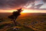 Dartmoor UK