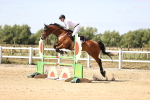SBM_008088
