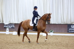 Class 14 - FEI Grand Prix - 19.27-20.27 portfolio