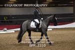 BPP_2310