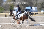 BPP_9626