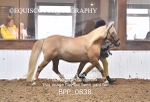 BPP_0838