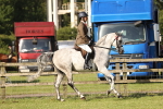 SBM_12335