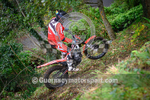 TRIALS 2022 portfolio