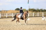 SBM_015990