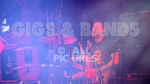 Pigsx7-103