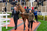 161125-Race 5-Castle Carrock-1645