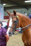 SBM_20154