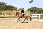 SBM_012225