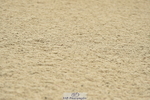 230611A-102646-04642