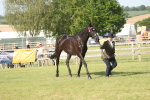 SBM_10363