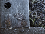Shoreline frost patterns, Isle of Mull, Scotland