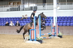 SBM_009990