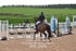 BPP_2905