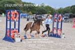 BPP_6841