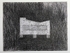 Structure 3, graphite on paper, 31cm x 26cm, 2021