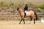 SBM_011196