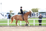SBM_03308