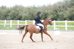 SBM_006586