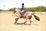 SBM_001592
