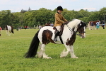 SIAL3247