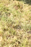 SBM_19761