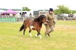 SBM_04384