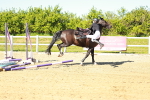SBM_002109
